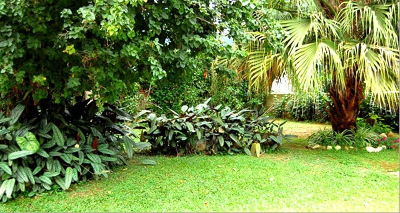 Hotel Primavera Penedo  Exteriér fotografie